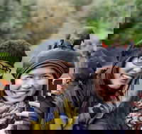 Small-Group Great Ocean Road and 12 Apostles Full-Day Tour from Melbourne - Attractions Perth