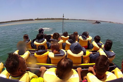 Jet Boat Express Ride - 30mins - Attractions Perth 5