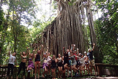 Atherton Tablelands Waterfalls Tour From Cairns - Attractions Perth 5
