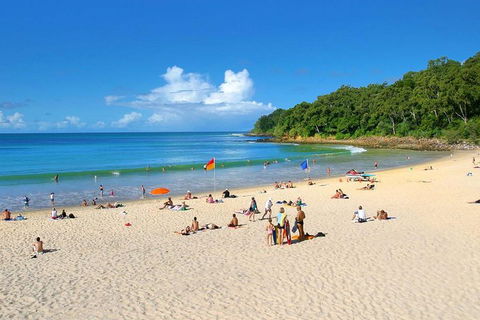 Noosa Everglades Serenity Cruise & Highlights Tour Inc. Lunch & Cruise - Attractions Perth 4