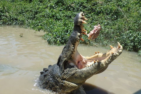 Litchfield And Jumping Crocodiles Full Day Trip From Darwin - Attractions Perth 3