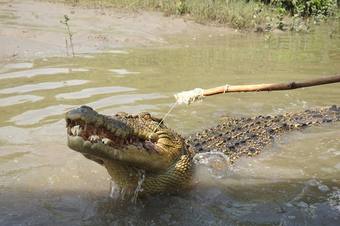 Litchfield And Jumping Crocodiles Full Day Trip From Darwin - Attractions Perth 4