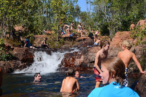 Litchfield And Jumping Crocodiles Full Day Trip From Darwin - Attractions Perth 5