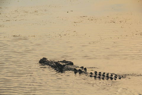 Yellow Water Cruise - Kakadu - Attractions Perth 2