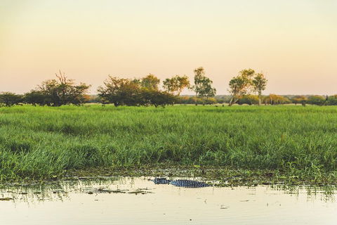Yellow Water Cruise - Kakadu - Attractions Perth 3