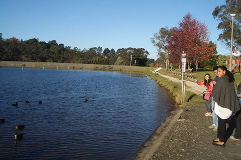 PRIVATE All-Day Blue Mountains Tour With Professional Guide For Up To 4 People - Attractions Perth 2