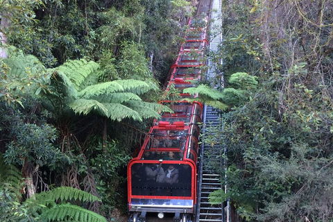 Blue Mountains Private Full-Day Tour From Sydney With Cruise - Attractions Perth 5