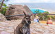 Wineglass Bay & Freycinet NP Full Day Tour From Hobart Via Richmond Village - thumb 0