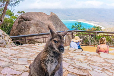 Wineglass Bay & Freycinet NP Full Day Tour From Hobart Via Richmond Village - Attractions Perth 0
