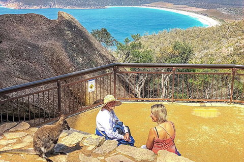 Wineglass Bay & Freycinet NP Full Day Tour From Hobart Via Richmond Village - Attractions Perth 1
