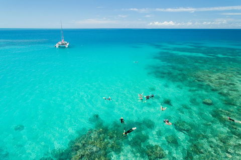 Full-Day Great Barrier Reef Sailing Trip - Attractions Perth 2