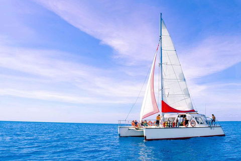 Full-Day Great Barrier Reef Sailing Trip - Attractions Perth 4