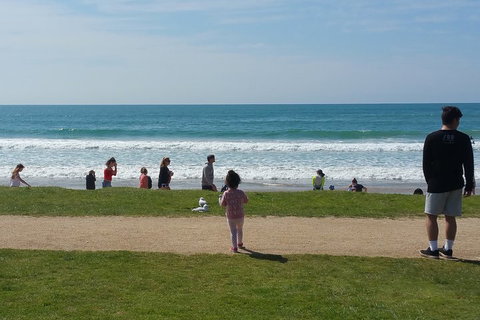 Surf Tour And Lesson - Attractions Perth 0