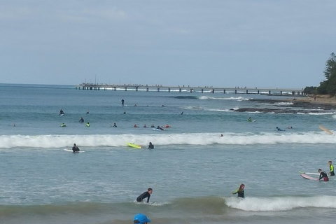 Surf Tour And Lesson - Attractions Perth 4