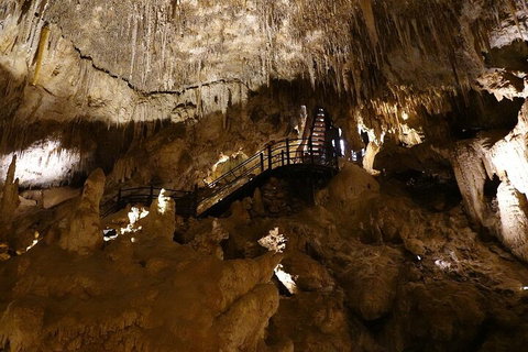 Ngilgi Cave Semi-guided Tour - Attractions Perth 2