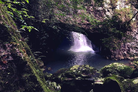 Springbrook Full Day Tour - Attractions Perth 3