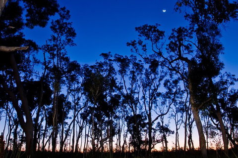 Small-Group Kangaroo Island 4WD Night Tour - Attractions Perth 2