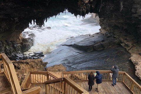 Kangaroo Island 4WD Tour - Best Of KI - Attractions Perth 1