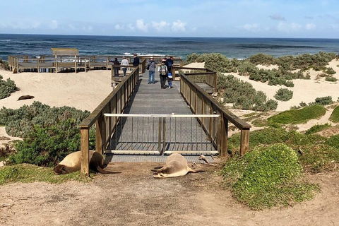 Kangaroo Island 4WD Tour - Best Of KI - Attractions Perth 2