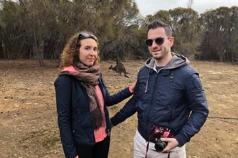 Kangaroo Island 4WD Tour - Best Of KI - Attractions Perth 3