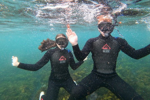 Manly Snorkel Trip And Nature Walk With Local Guide - Attractions Perth 3