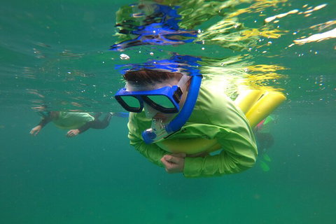 Manly Snorkel Trip And Nature Walk With Local Guide - Attractions Perth 5