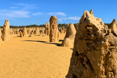 Pinnacles Desert (Private) Day Tour - Attractions Perth 0