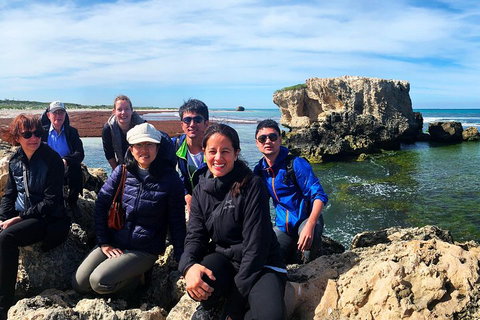 Pinnacles Desert (Private) Day Tour - Attractions Perth 4