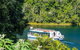 Paronella Park And Millaa Millaa Falls Full-day Tour From Cairns - thumb 2