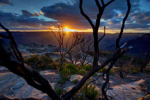 Ultimate Blue Mountains And Wildlife Tour - Attractions Perth 2