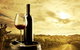 Barossa Valley Cellar Doors Luxury Wine Tour - thumb 0
