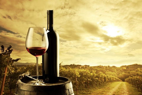 Barossa Valley Cellar Doors Luxury Wine Tour - Attractions Perth 0