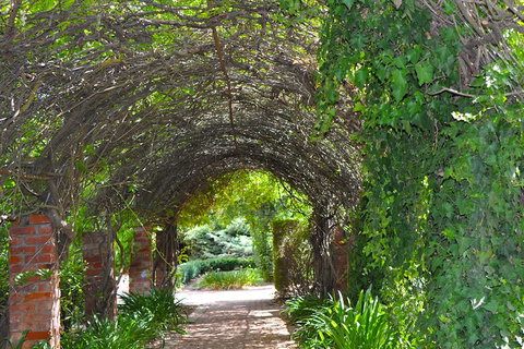 Barossa Valley Cellar Doors Luxury Wine Tour - Attractions Perth 3