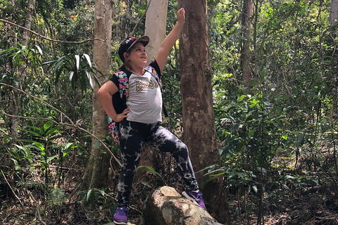 Natural Bridge, Skywalk And Mt Tamborine Adventure! - Attractions Perth 3