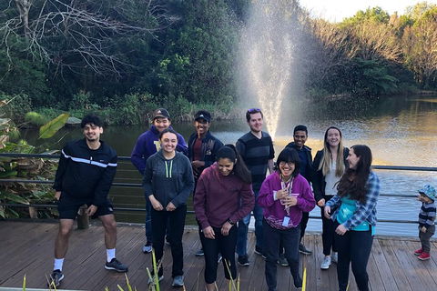 Natural Bridge, Skywalk And Mt Tamborine Adventure! - Attractions Perth 4
