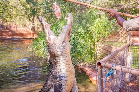 Malcolm Douglas Crocodile Park Tour Including Transportation - Attractions Perth 5