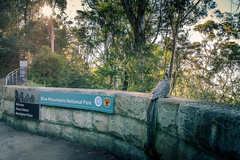 Ultimate Blue Mountains Waterfalls, Walks & Sunset PRIVATE Tour - Attractions Perth 3