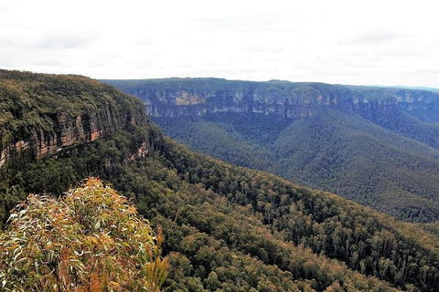 Blue Mountains - Attractions Perth 3