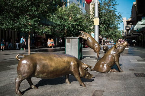 Guided Walking Tour In Adelaide - Attractions Perth 4