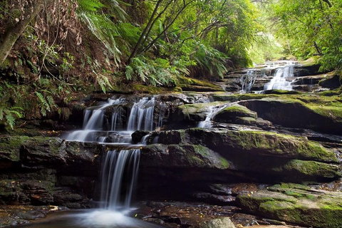 Private All Blue Mountains Day Tour - Attractions Perth 1