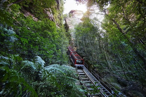 Private All Blue Mountains Day Tour - Attractions Perth 3