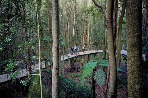Private All Blue Mountains Day Tour - Attractions Perth 4