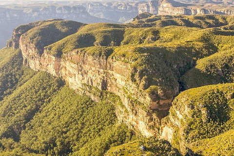 Private All Blue Mountains Day Tour - Attractions Perth 5