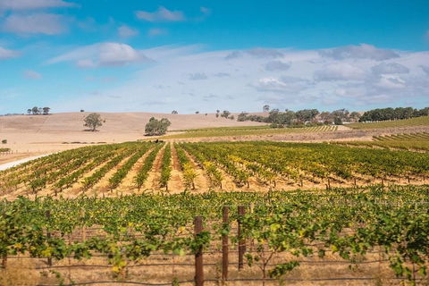 Barossa Valley Private Tour (from 2 To 11 People) - Attractions Perth 2