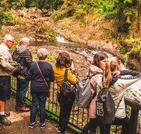 Full-day Springbrook National Park Tour from the Gold Coast - Attractions Perth