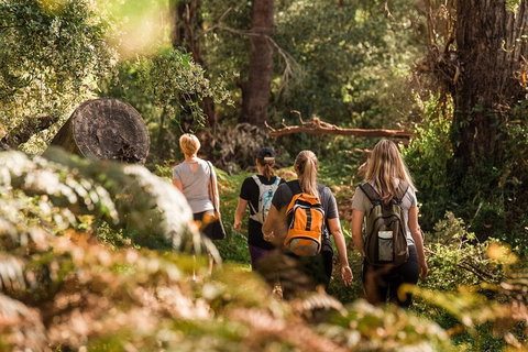 Cabaret Cave Yoga & Mindful Hike - Attractions Perth 2