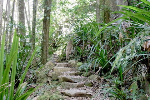 Byron Bay Combo: Minyon Falls And Hinterland Day Trip And Learn To Surf At Byron Bay - Attractions Perth 3