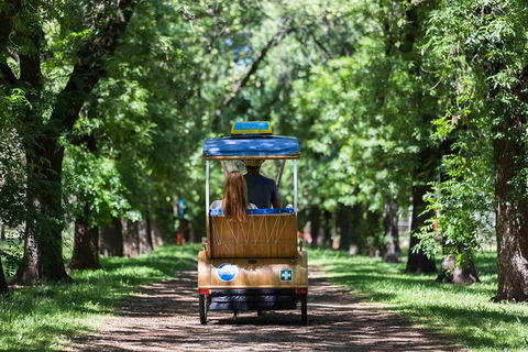 Adelaide 90-Minute Pedicab Tour: Scenic Green & River Experience - Attractions Perth 2