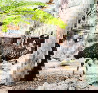 Sydney Taronga Zoo General Entry Ticket and Wild Australia Experience - Attractions Perth