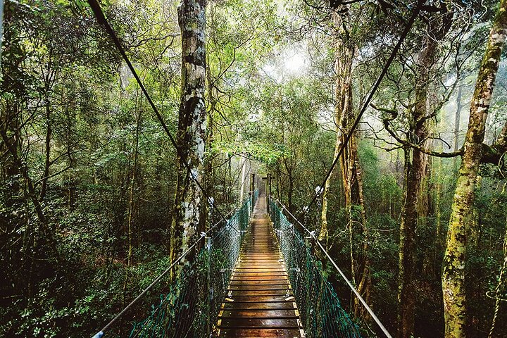 Benowa QLD Attractions Perth